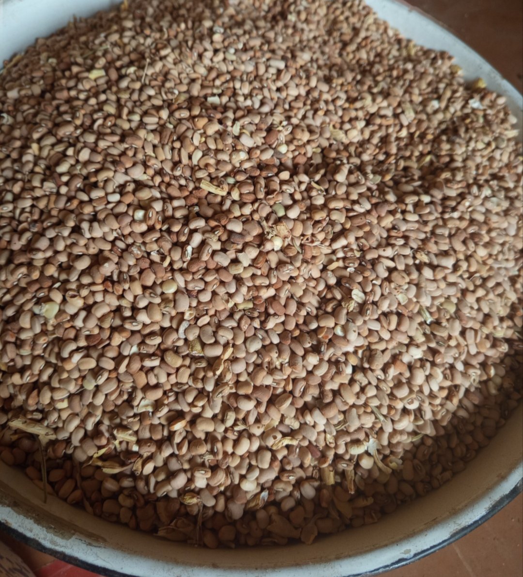 Oloyin Beans